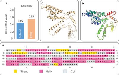 Evaluation of the consistence between the results of immunoinformatics predictions and real-world animal experiments of a new tuberculosis vaccine MP3RT